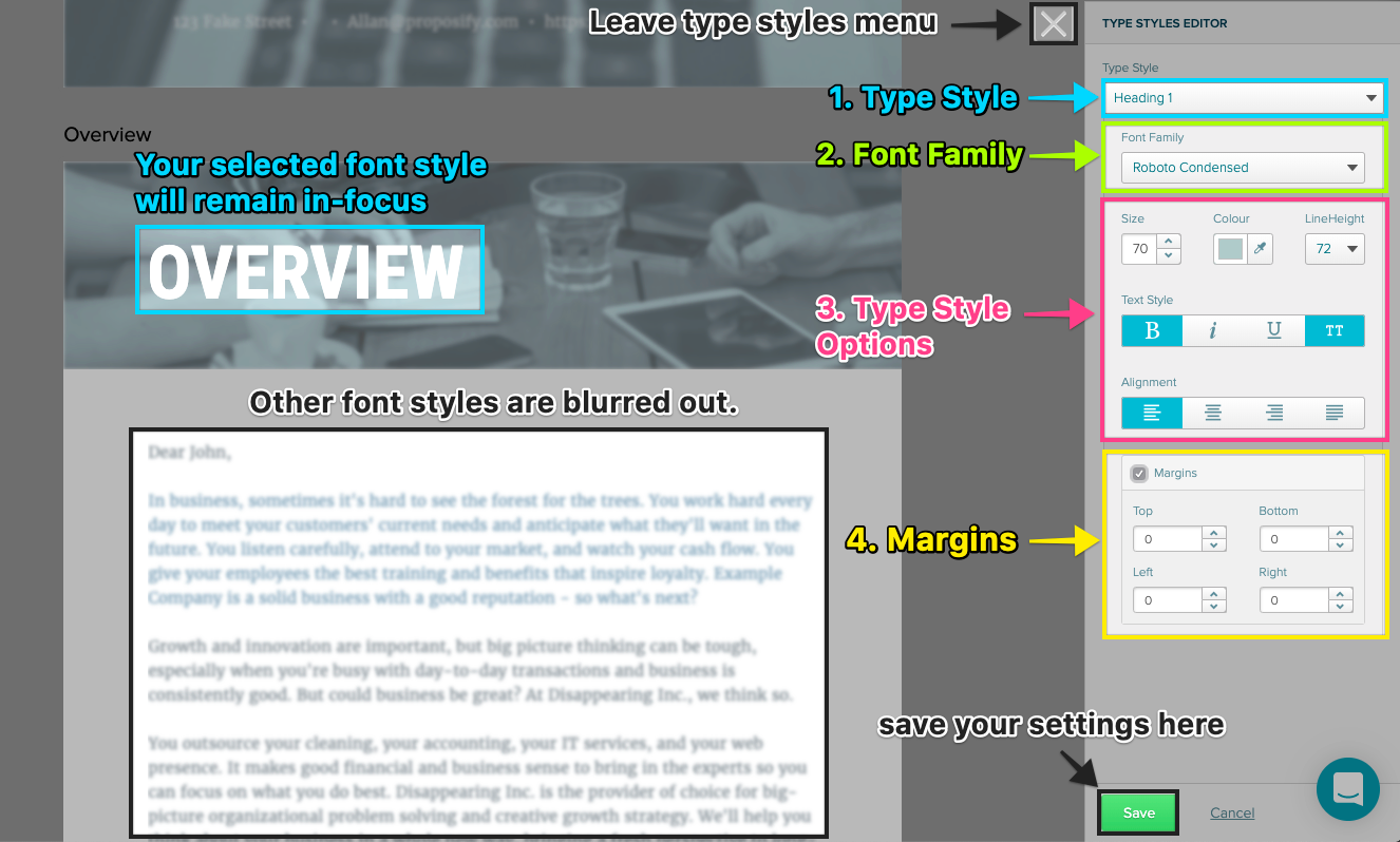 A screen grab on the styles and formatting menu, on the type styles tab. each section of the menu is highlighted and explained in the table below.